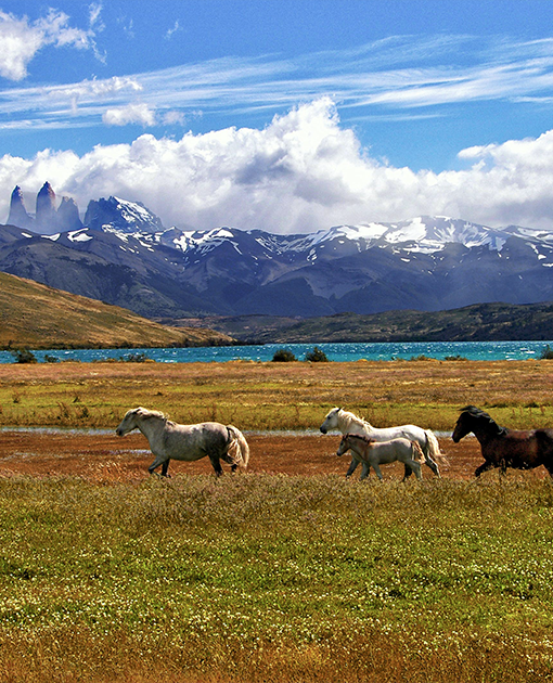 Chile