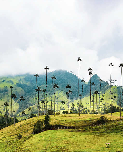 Colombia