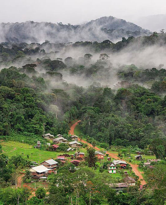 French Guiana