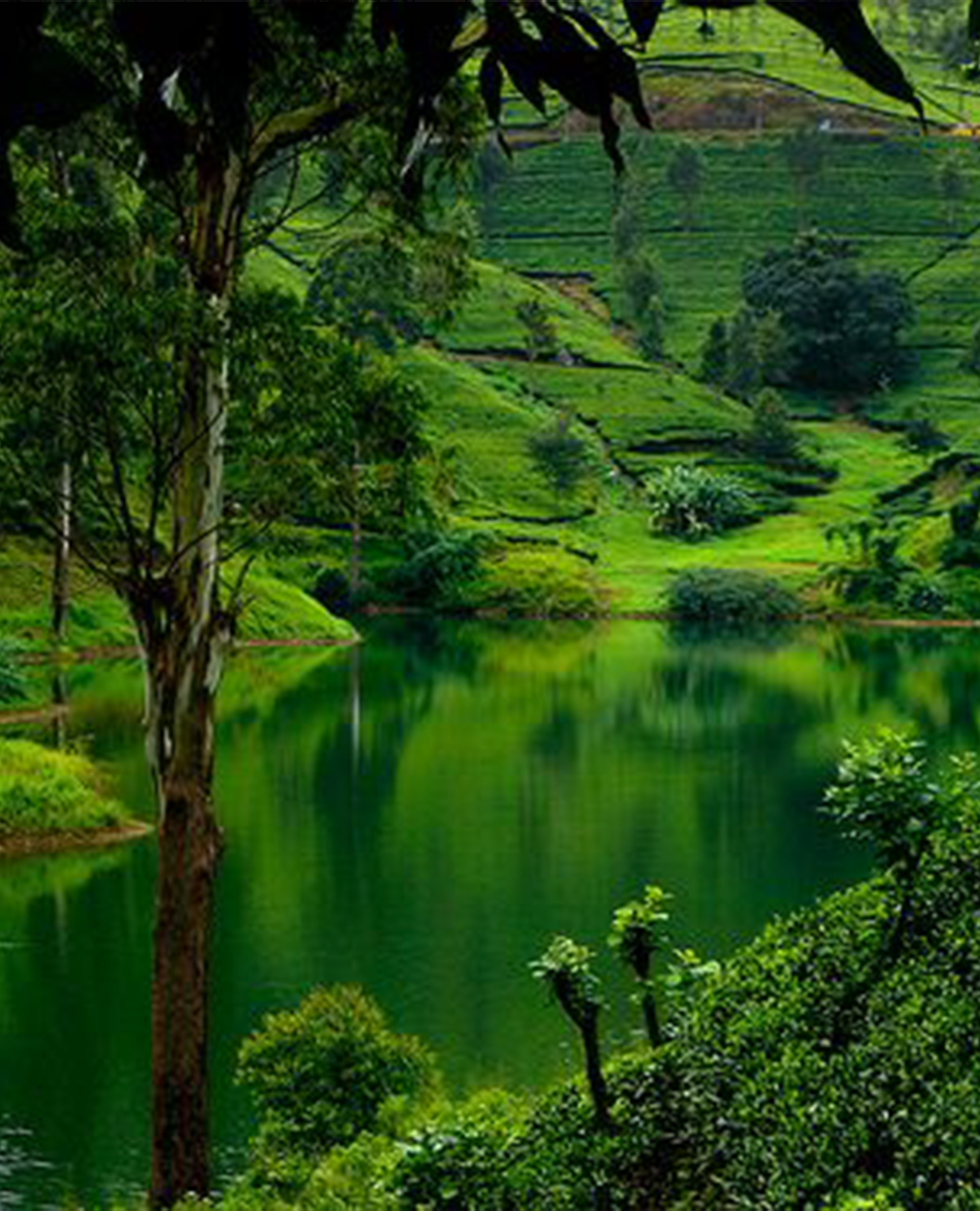 Sri Lanka