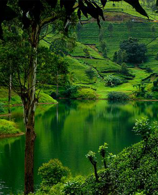 Sri Lanka